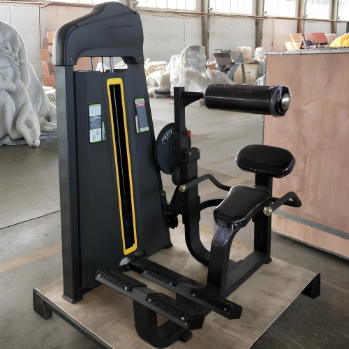 Extensión de espalda - FMT | Paquete de pesas incluido | Personalizable - Uso