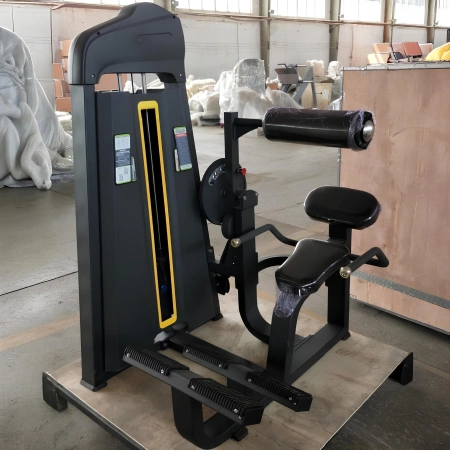 Extension dorsale - FMT | Pack de poids inclus | Personnalisable - Utilisation