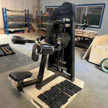 Standing Lateral Raise - FMT | Expandable Weight Pack - Full Gym View 2