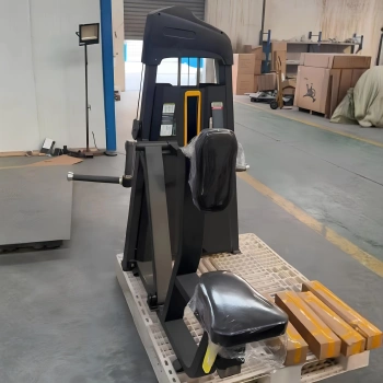 Vertical Row Machine - FMT | Weight pack included | Customized - View on the Left 2