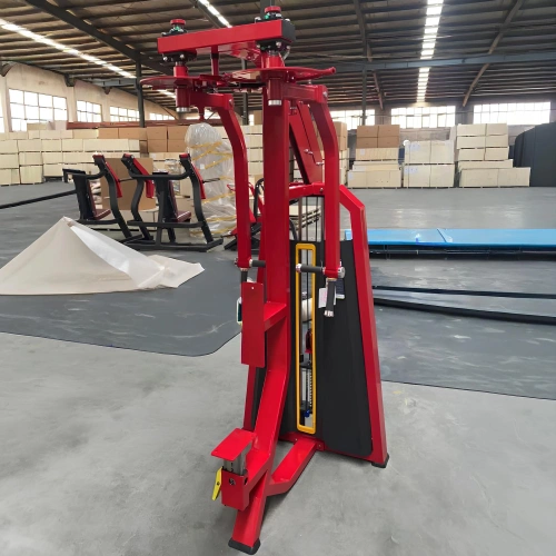 Rear Delt and Pec Fly - FMT | Weight pack included | Customized - Custom