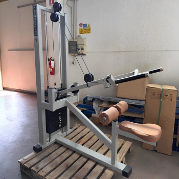 Triceps Press Machine - METALSPORT | Second Hand 2
