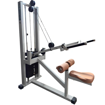 Triceps Press Machine - METALSPORT | Seconda Mano - Visuale Lato Sinistro