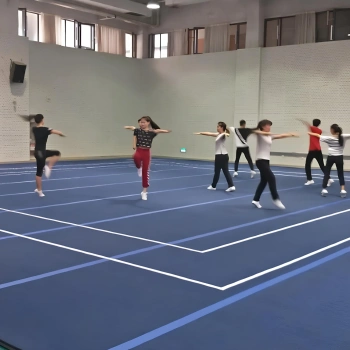 Terrain d’entraînement en gymnastique - GA94 | Gymnastique rythmique - Vue défilante 2