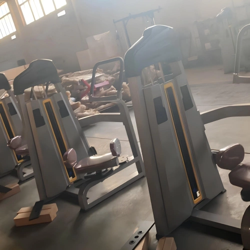 Máquina de cintura torcida - FMT | Caja de pesas incluida - Vista desde el frente