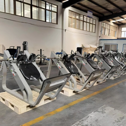 Hack Squat - FMT | Profesional - Personalizable - Vista total de la habitación