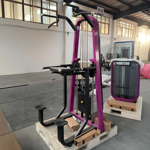 Dip e Chin Assistito - FMT | Pacco Pesi...