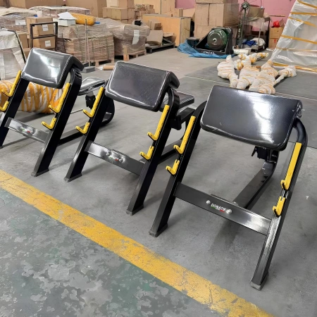 Curl de prédicateur assis - FMT | Personnalisable - Vue totale