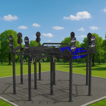 Calisthenics Frame with Rings - CH40 | Professional - Full View 2