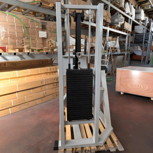 Bauch-Maschine - METALSPORT | Gebraucht - Rückansicht