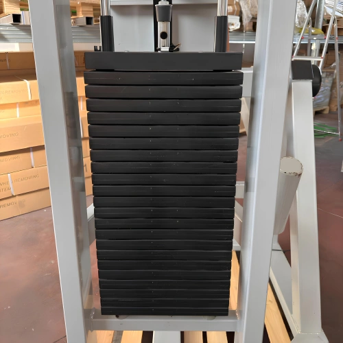 Appareil abdominal - METALSPORT | Seconde main - Pile de poids vue de dos