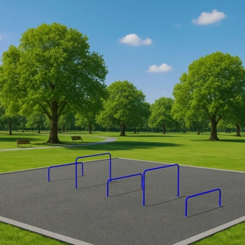 Variable Height Parallel Bars - CH84 | Outdoor Park - Full View 2