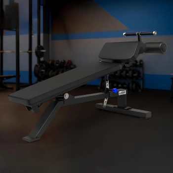 Professional Abdominal Bench | Bodybuilding - Side View 2