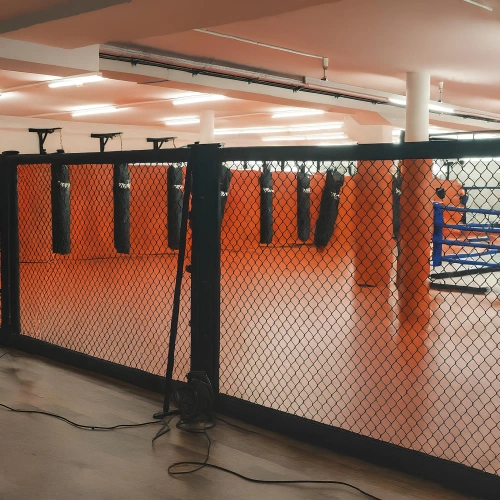 Paroi de cage MMA - Modulaire | Personnalisable - Vue de la chambre