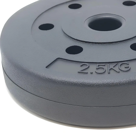 Disco in PVC-Vinile da 2,5 Kg - Foro 30 mm | Fitness
