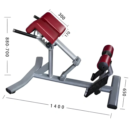 Banco Romano Profesional - P8 | Hiperextensión para lumbar - Ver sobre medidas específicas