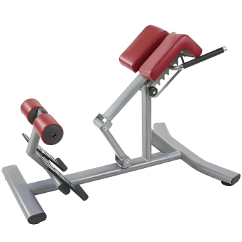 Professional Roman Bench - P8 | Hyperextension for Lumbar - Full View