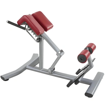 Professional Roman Bench - P8 | Hyperextension for Lumbar - Full View 2