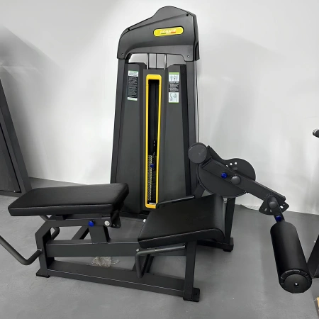 Leg Extension and Prone Leg Curl - FMT | Tailored - Front View in the Room