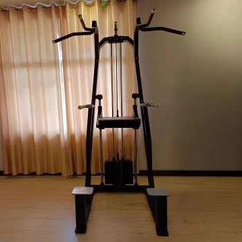 Dip - Assisted Chin - FMT | Adjustable Weight Pack | Gym | Professional - Full View Tool 2