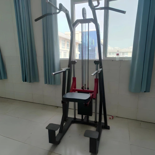 Dip e Chin Assistito - FMT | Pacco Pesi...