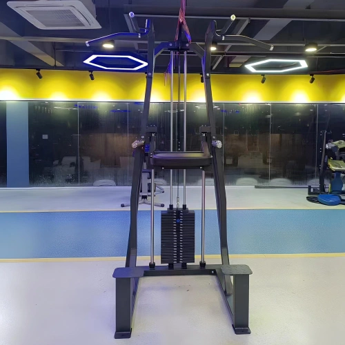 Assistiertes Eintauchen & Kinn - FMT | Ausziehbares Gewichtspaket - Gym View