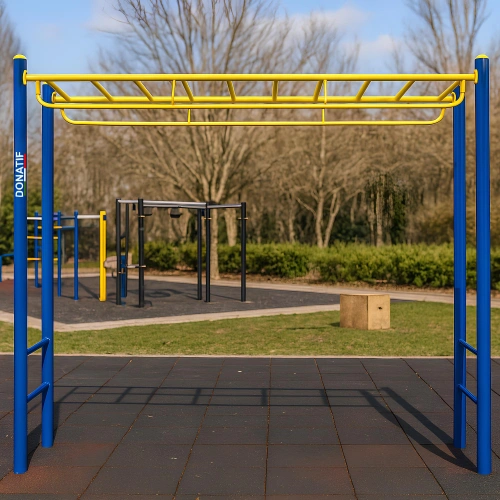 Monkey Bar Calisthenics for Outdoor - COA820 | Professional - Usage