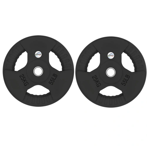 Disco Gommato da 25 Kg - Foro 50 mm - Set - AMAZON