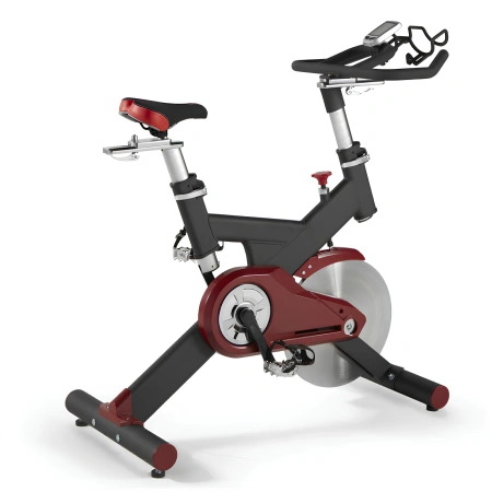 Vélo spinning avec poulie de courroie - SB75 | Professionnel - Vue droite