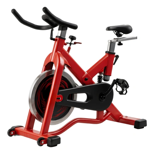 Spin Bike Volano 20 Kg Galvanizzato - SB90 |...