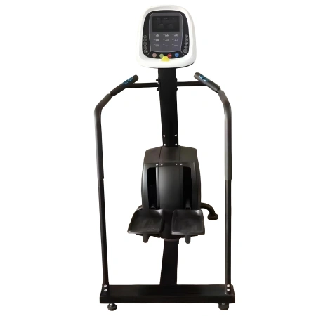Stepper Climber con Display LED - ET20 | Professionale