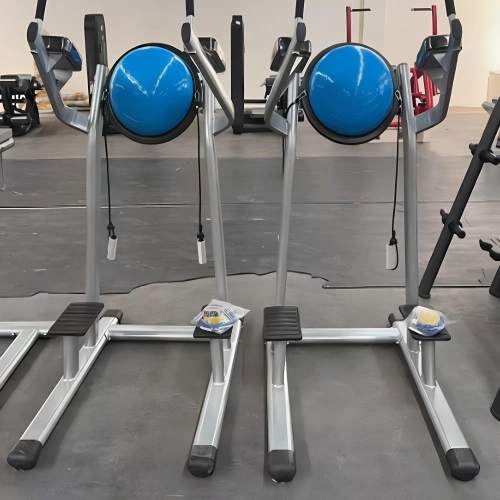 Station de levée de jambe avec demi-balle - CF25 | Professionnel - Vue complète