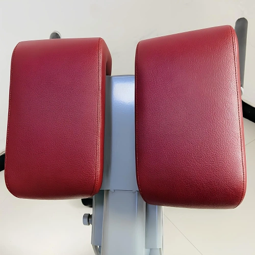 Banco Profesional Romano - PR8 | Lumbar y abdominales - Acolchonado