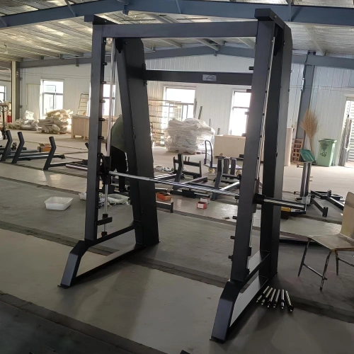 Smith Machine Professional - FMT | Personalizable - Cámara total en la sala