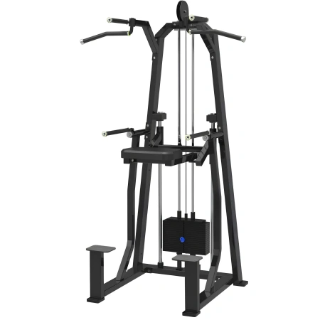 Dip - Menton assisté - FMT | Sac de poids réglable | Gymnase | Professionnel - Outil de vue complète