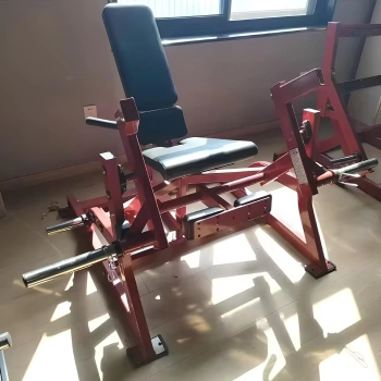 Máquinas de extensión de piernas laterales - RFA | Entrenamiento funcional - Vista completa del equipo 2