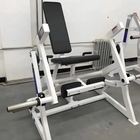 Seitliche Beinverlängerungsmaschine – RFA | Fitnessstudio – Anpassung