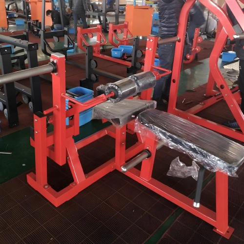 Curl latéral de jambe - RFA | Entraînement fonctionnel - Salle de sport - Vue complète de la salle