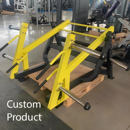 Kniebeuge-Ausfallschritt – RFA | Funktionelles Training – Fitnessstudio – Anpassung