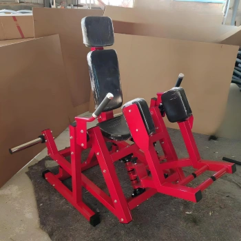 Machine d’abducteur de hanche à plaques - RFA | Formation fonctionnelle - Vue complète de l’équipement 2