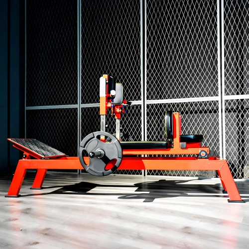 Hip Trainer - RFA | Functional Training - Gym - View of Use