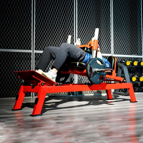 Hip Trainer - RFA | Functional Training - Gym - Use