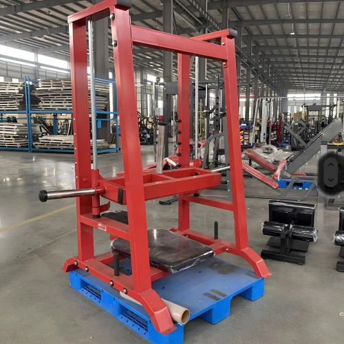 Prensa de pierna vertical - RFA | Entrenamiento funcional - Gimnasio - Vista de la sala