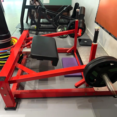 Gluteus Machine - RFA | Allenamento Funzionale - Palestra