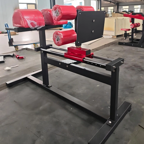 Revelador de Glue Ham - RFA | Entrenamiento funcional - Gimnasio - Vista de la sala