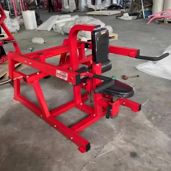 Seated Plate Triceps Dip - RFA | Functional Training - Total View 2