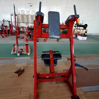 Estación de trabajo abdominal - RFA | Entrenamiento funcional - Gimnasio - Vista completa del equipamiento 2