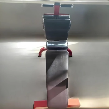 Bauchbank – RFA | Funktionelles Training – Fitnessstudio – vollständige Geräteansicht 2