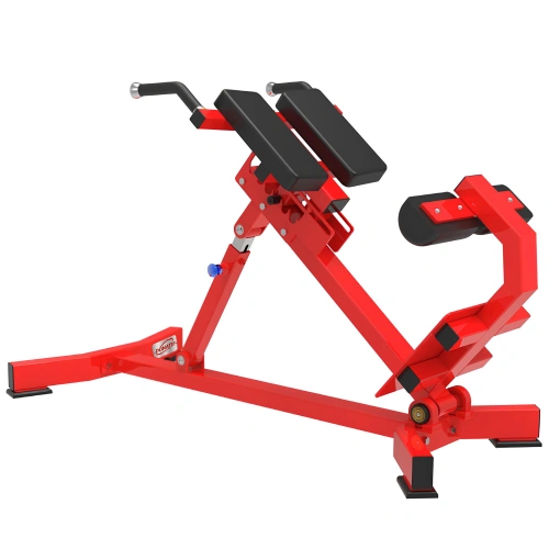 Verstellbare römische Bank – RFA | Funktionelles Training – Fitnessstudio – Seitenansicht