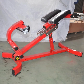 Adjustable Roman Bench - RFA | Functional Training - Gym - Full Equipment View 2